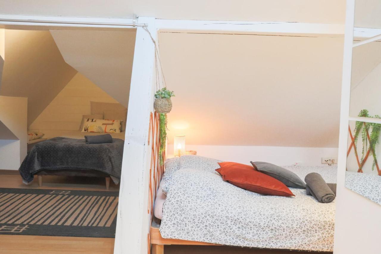 Le Petit Loft, Mulhouse Centre Apartment Bagian luar foto