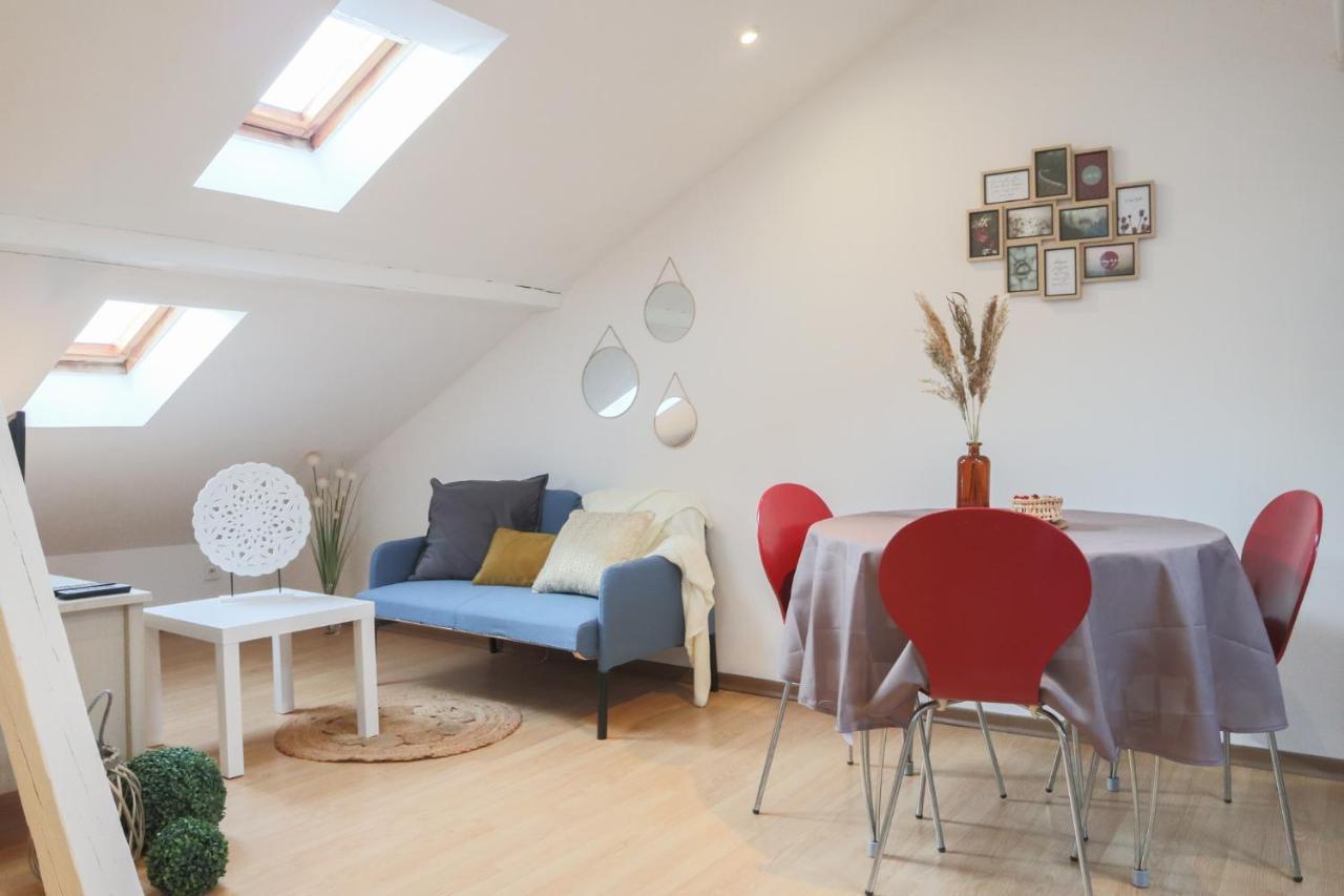Le Petit Loft, Mulhouse Centre Apartment Bagian luar foto