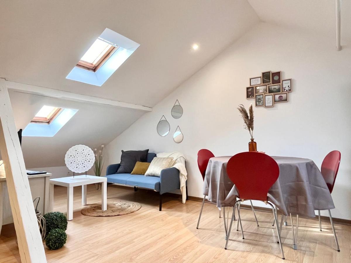 Le Petit Loft, Mulhouse Centre Apartment Bagian luar foto