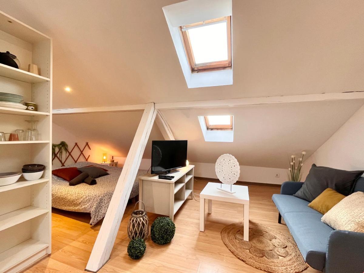 Le Petit Loft, Mulhouse Centre Apartment Bagian luar foto
