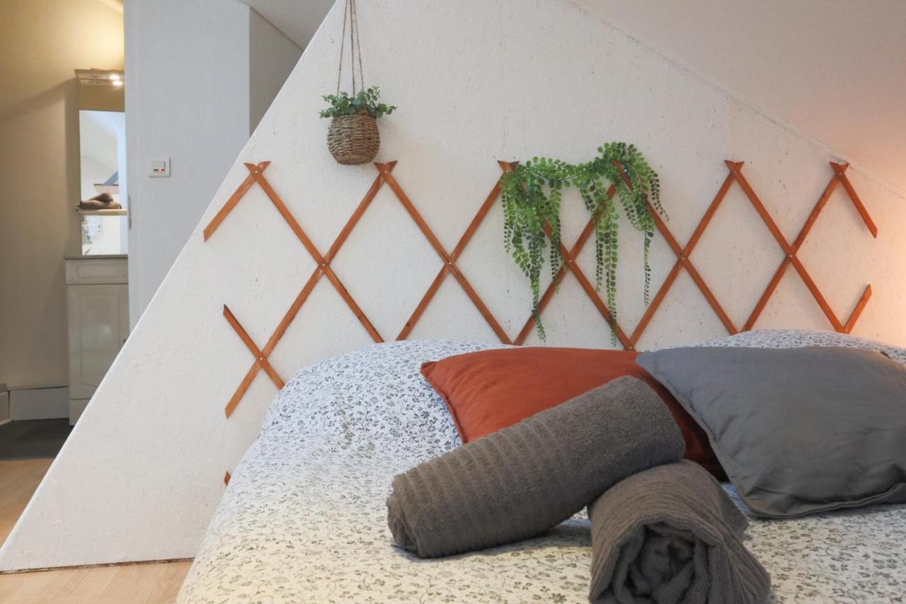 Le Petit Loft, Mulhouse Centre Apartment Bagian luar foto