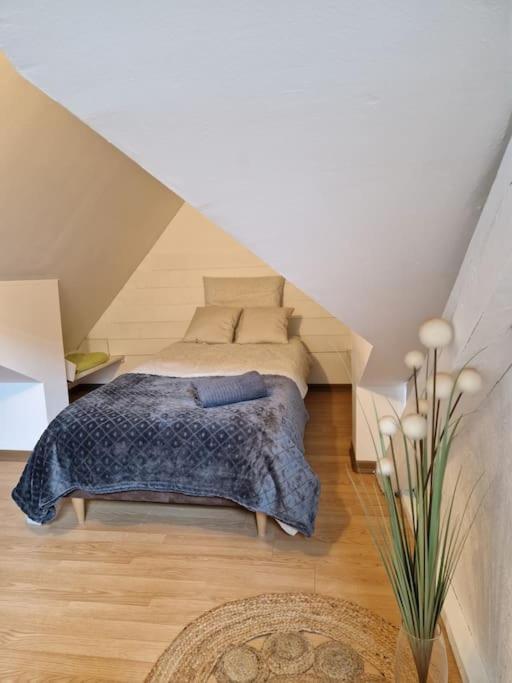 Le Petit Loft, Mulhouse Centre Apartment Bagian luar foto