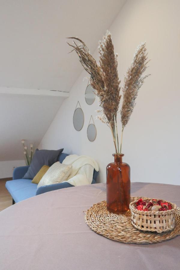 Le Petit Loft, Mulhouse Centre Apartment Bagian luar foto
