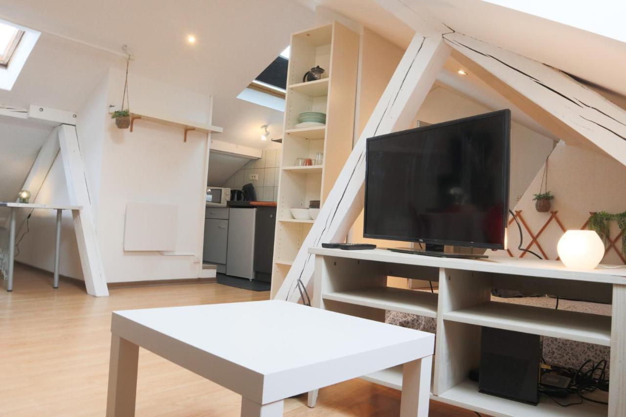 Le Petit Loft, Mulhouse Centre Apartment Bagian luar foto