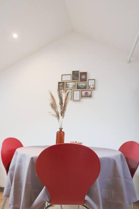 Le Petit Loft, Mulhouse Centre Apartment Bagian luar foto