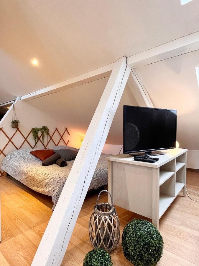Le Petit Loft, Mulhouse Centre Apartment Bagian luar foto